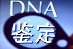 达州哪里可以做DNA亲子鉴定，达州亲子鉴定需要怎么做
